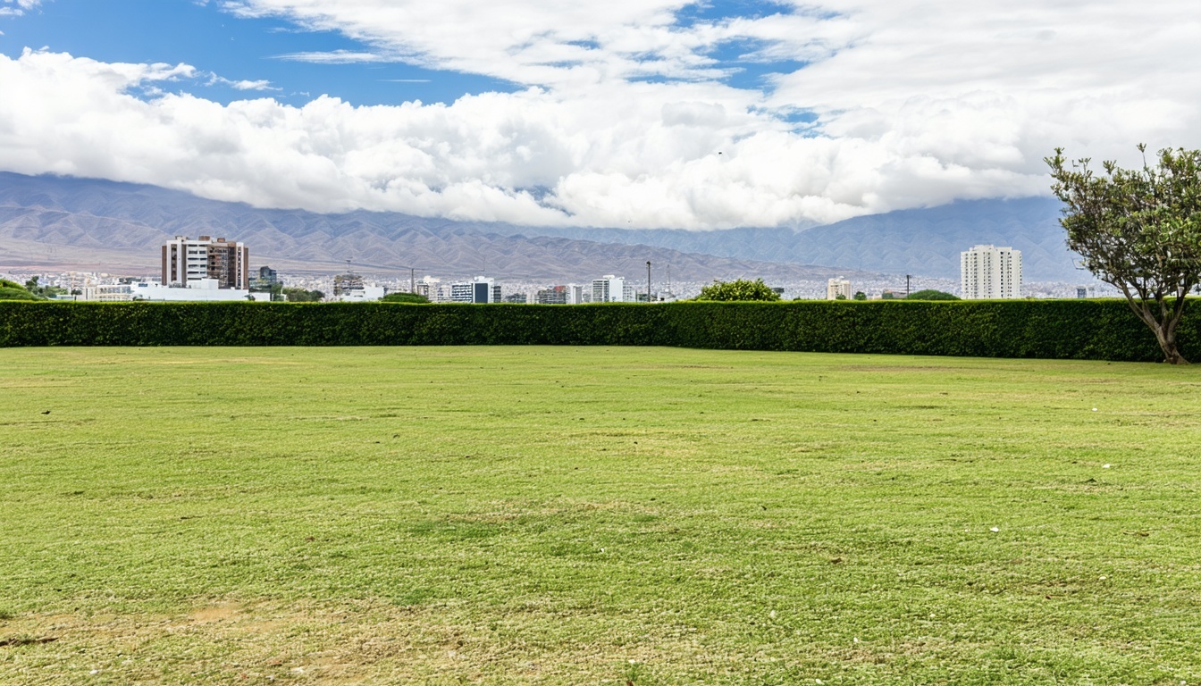 Imagen de un terreno en venta en Lima